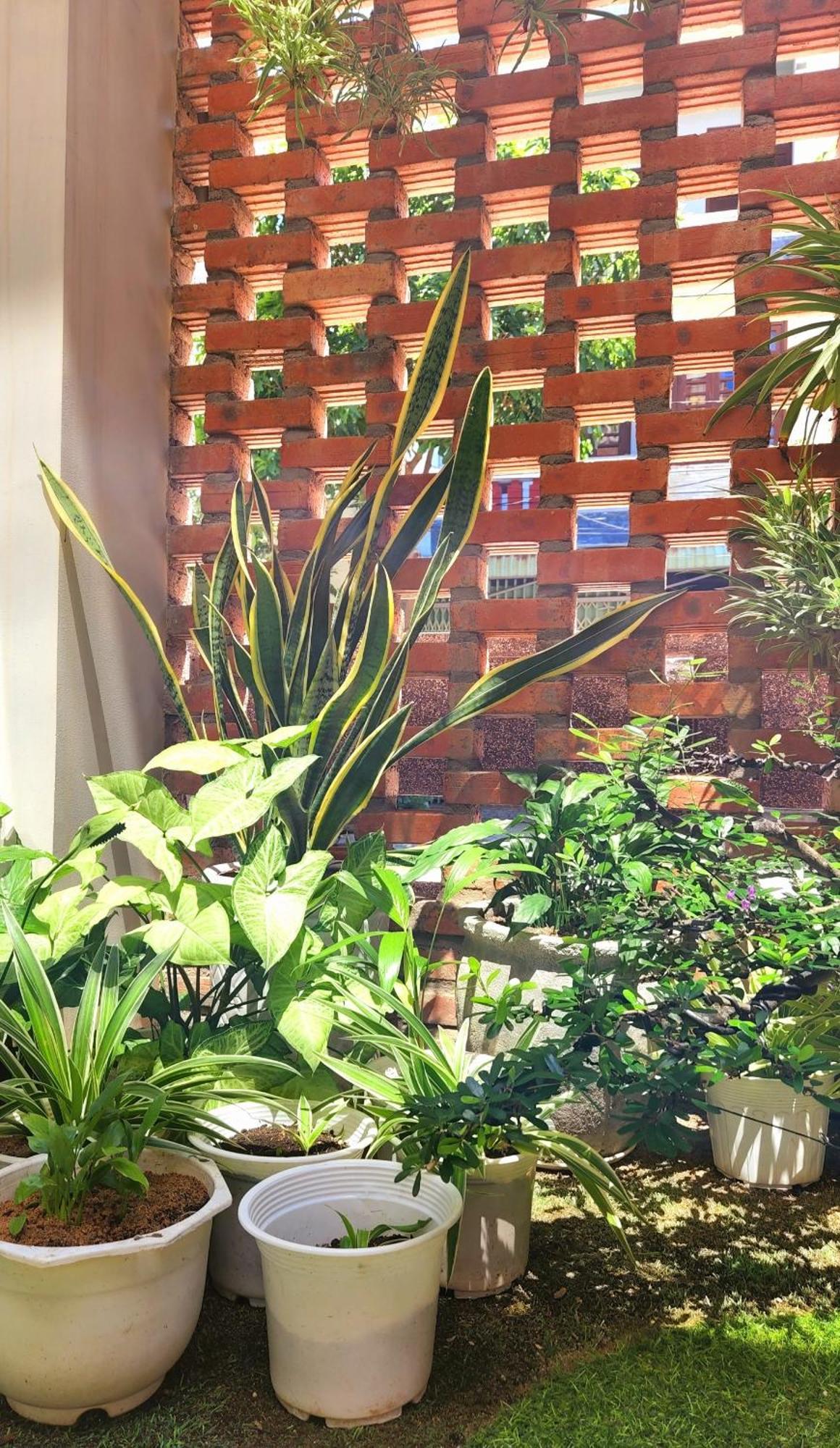 Hanid Hotel Tuy Hoa Exterior foto